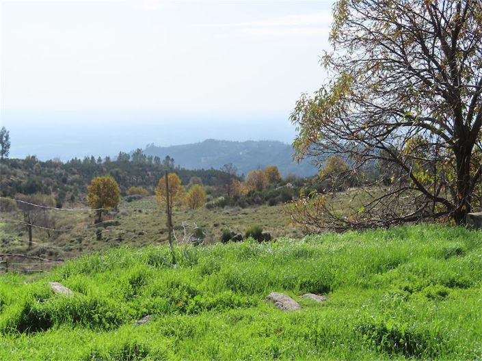 Image No.33-Propriété à vendre à Castelo Branco