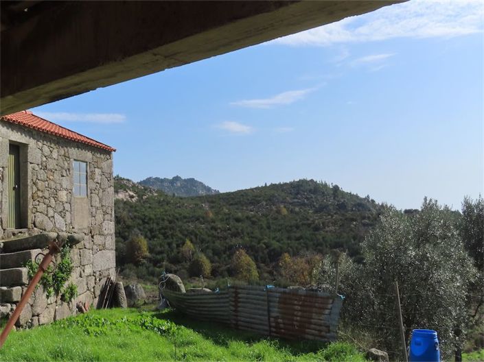 Image No.34-Propriété à vendre à Castelo Branco