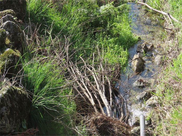 Image No.4-Propriété à vendre à Castelo Branco