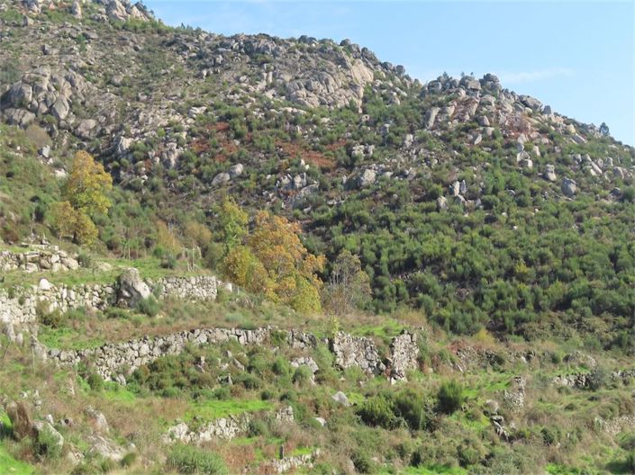 Image No.42-Propriété à vendre à Castelo Branco