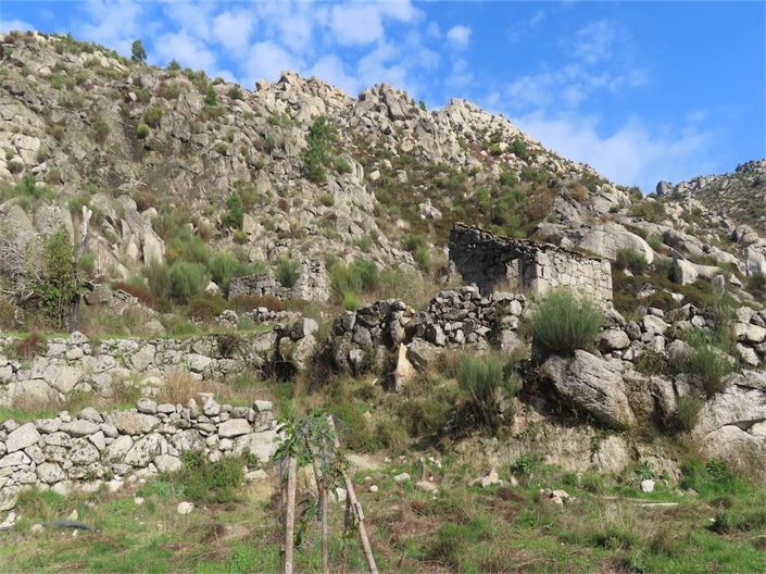 Image No.43-Propriété à vendre à Castelo Branco