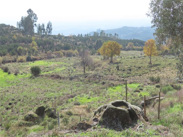 Image No.44-Propriété à vendre à Castelo Branco