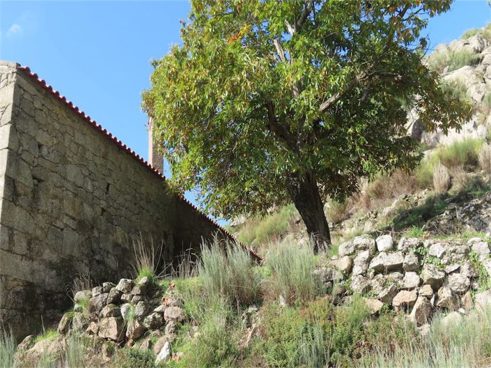 Image No.45-Propriété à vendre à Castelo Branco