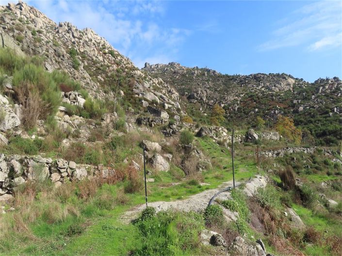 Image No.46-Propriété à vendre à Castelo Branco