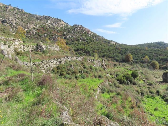 Image No.47-Propriété à vendre à Castelo Branco