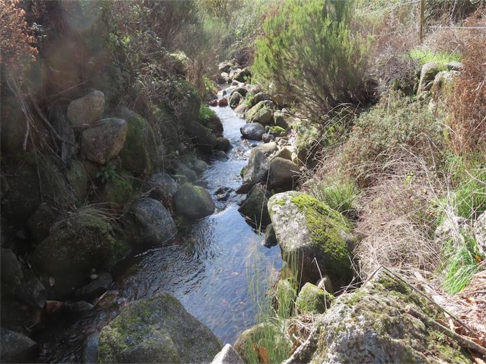 Image No.49-Propriété à vendre à Castelo Branco