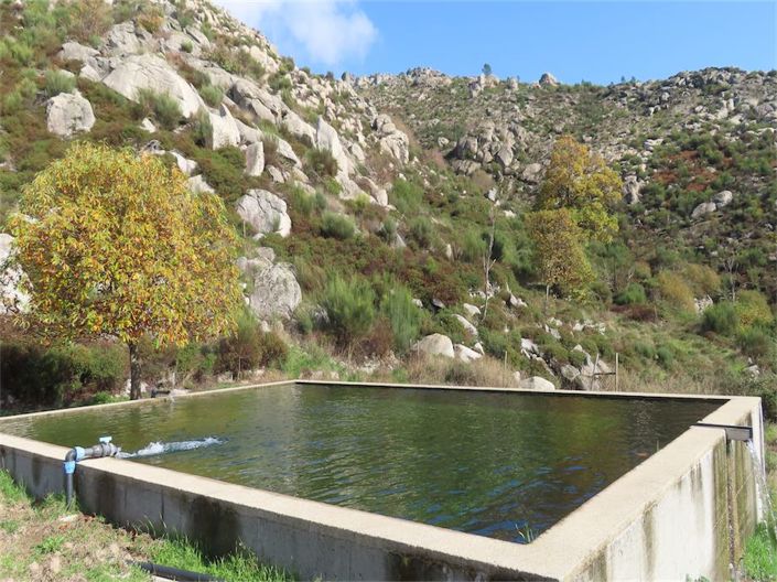 Image No.5-Propriété à vendre à Castelo Branco