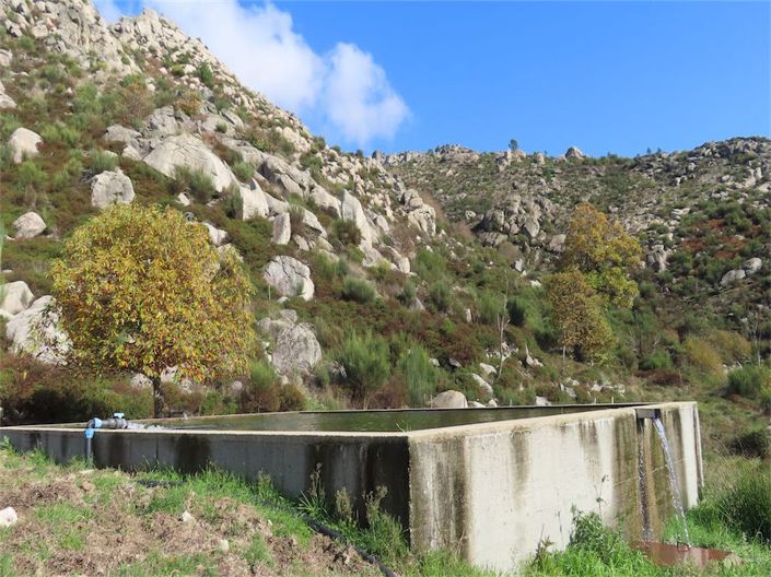 Image No.50-Propriété à vendre à Castelo Branco