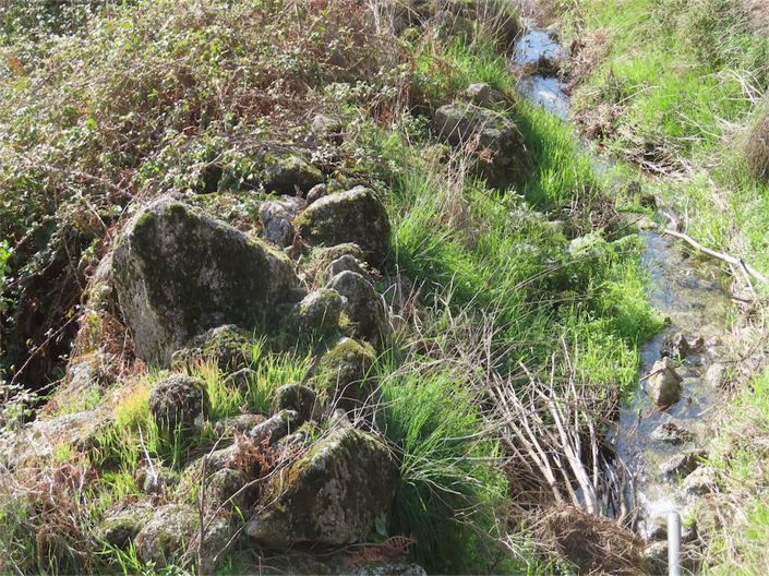 Image No.6-Propriété à vendre à Castelo Branco