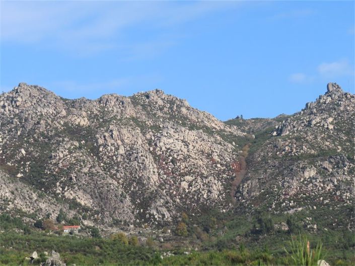 Image No.7-Propriété à vendre à Castelo Branco