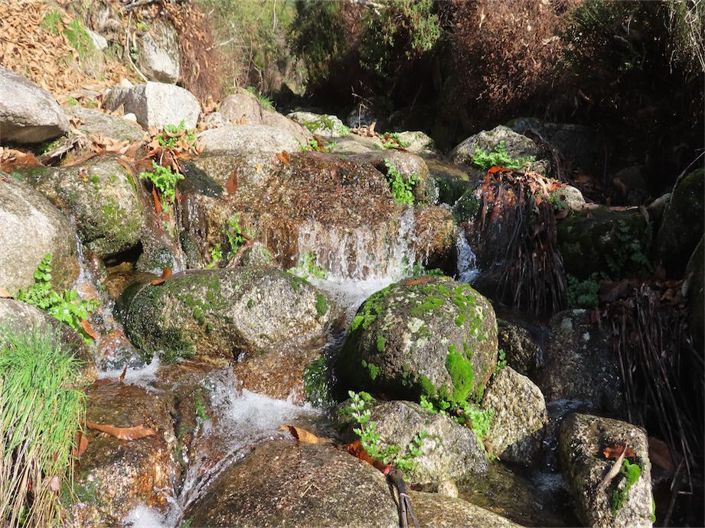 Image No.8-Propriété à vendre à Castelo Branco