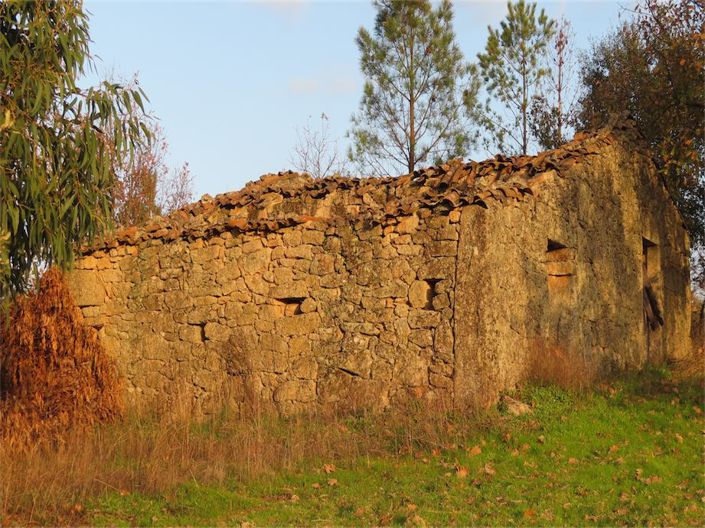 Image No.10-Propriété à vendre à Castelo Branco