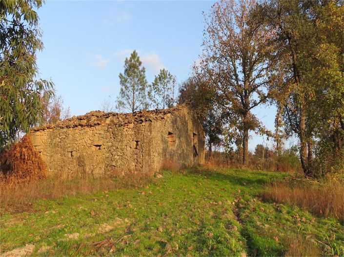 Image No.11-Propriété à vendre à Castelo Branco