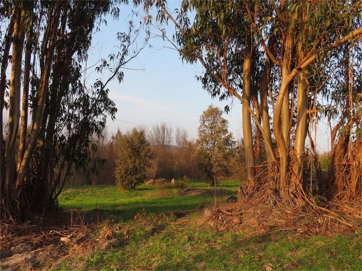 Image No.12-Propriété à vendre à Castelo Branco