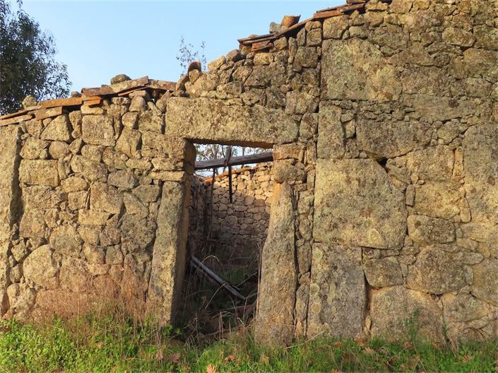 Image No.13-Propriété à vendre à Castelo Branco