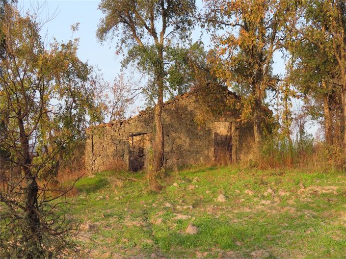 Image No.18-Propriété à vendre à Castelo Branco