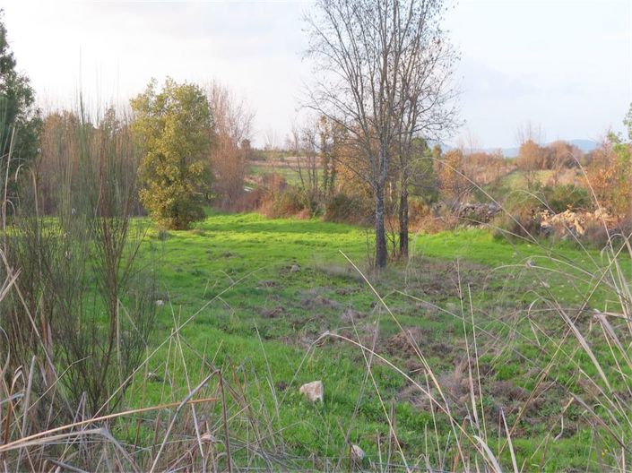 Image No.2-Propriété à vendre à Castelo Branco