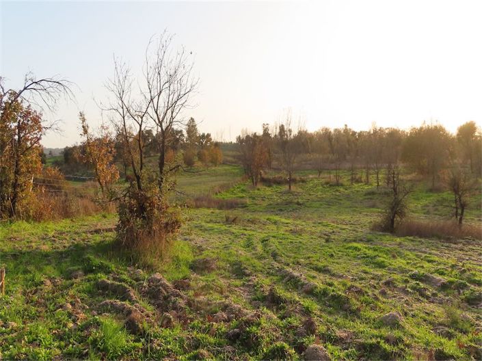 Image No.21-Propriété à vendre à Castelo Branco