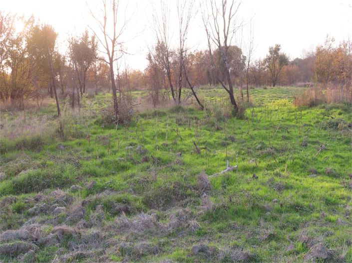 Image No.23-Propriété à vendre à Castelo Branco