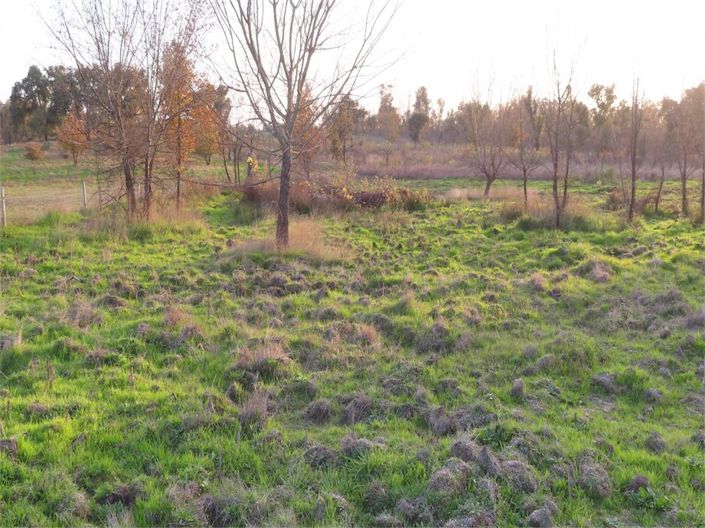 Image No.24-Propriété à vendre à Castelo Branco