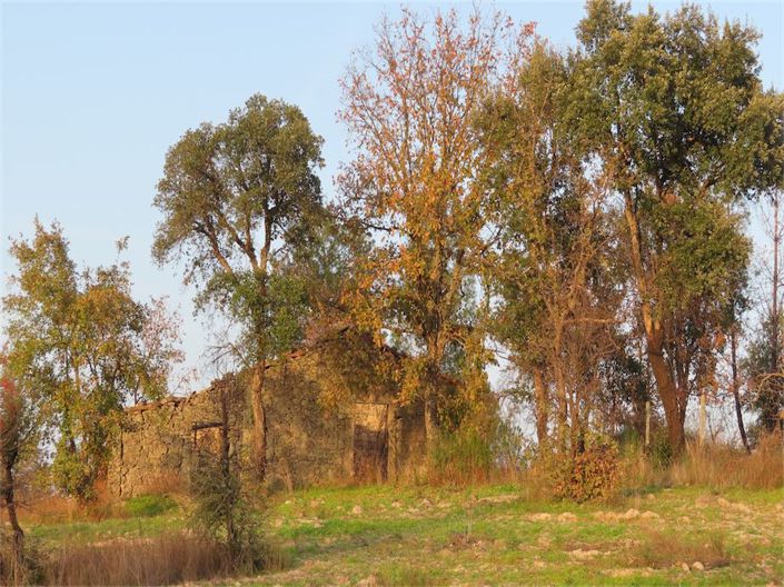 Image No.25-Propriété à vendre à Castelo Branco