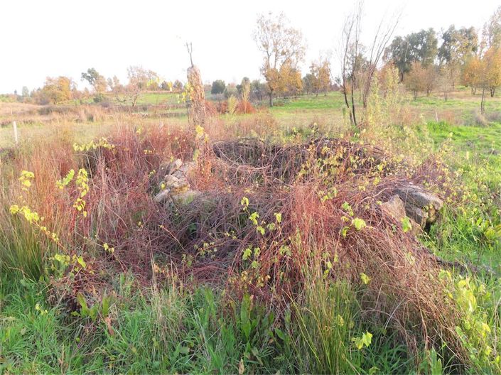 Image No.26-Propriété à vendre à Castelo Branco