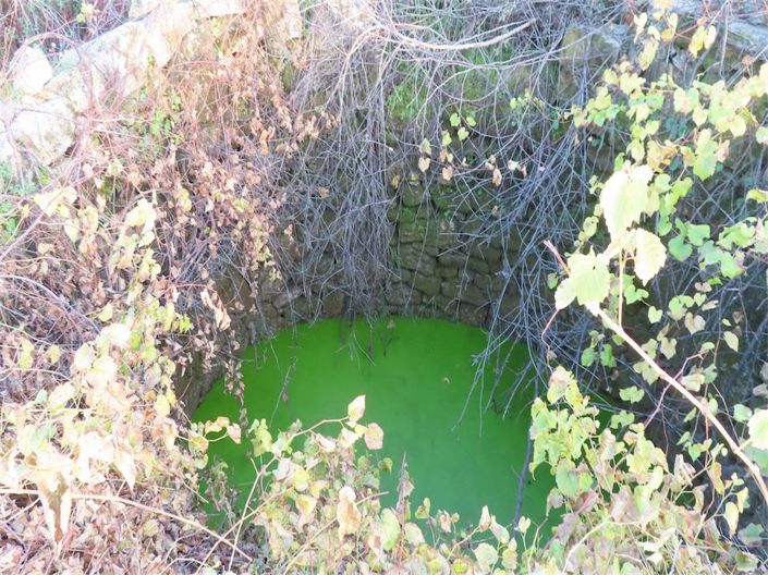 Image No.27-Propriété à vendre à Castelo Branco