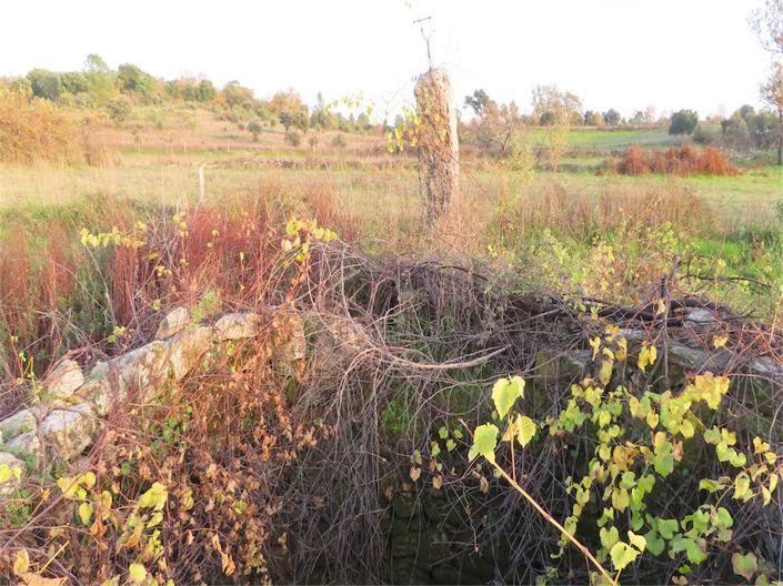 Image No.28-Propriété à vendre à Castelo Branco