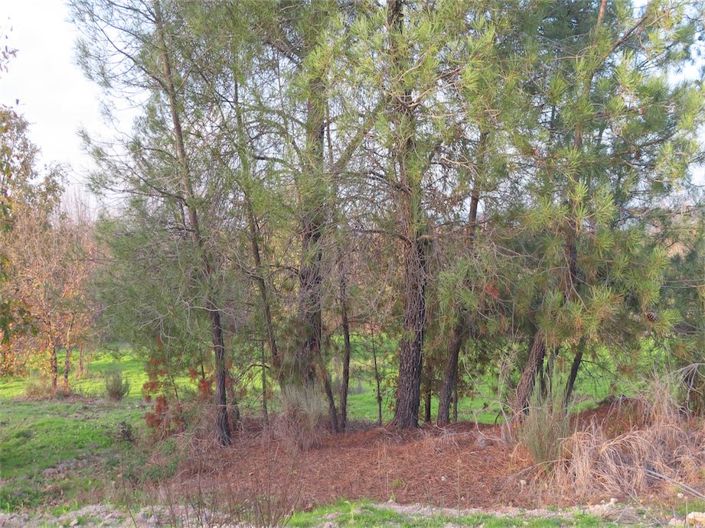 Image No.3-Propriété à vendre à Castelo Branco