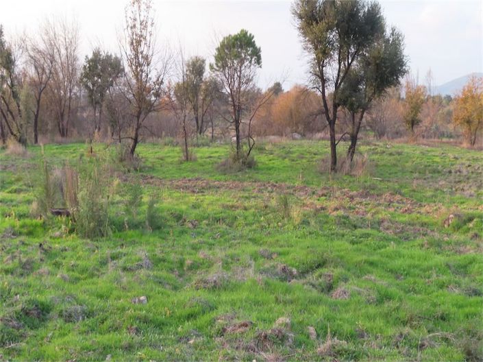 Image No.30-Propriété à vendre à Castelo Branco