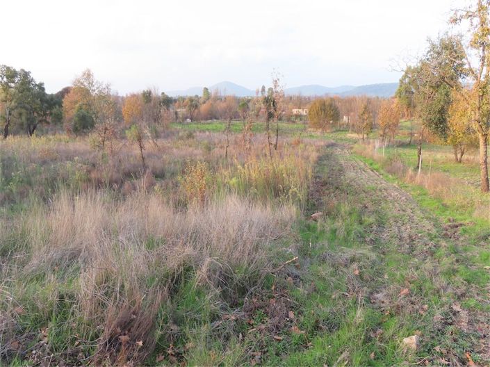 Image No.31-Propriété à vendre à Castelo Branco