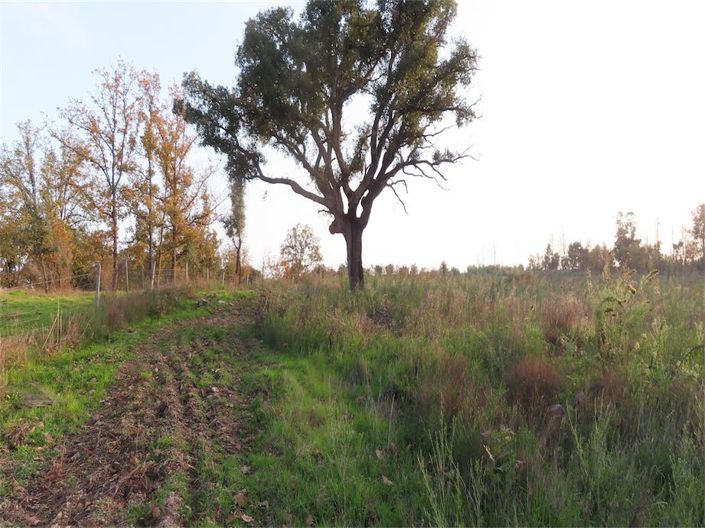 Image No.33-Propriété à vendre à Castelo Branco