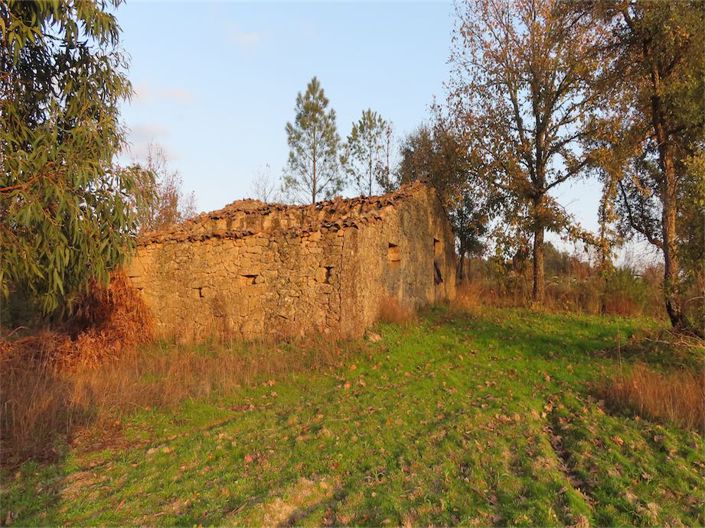 Image No.34-Propriété à vendre à Castelo Branco