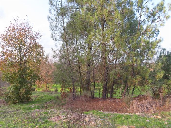 Image No.4-Propriété à vendre à Castelo Branco