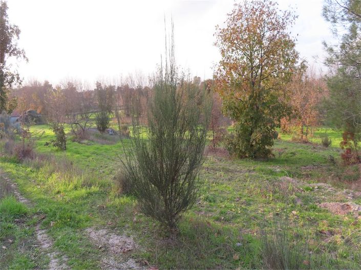 Image No.5-Propriété à vendre à Castelo Branco