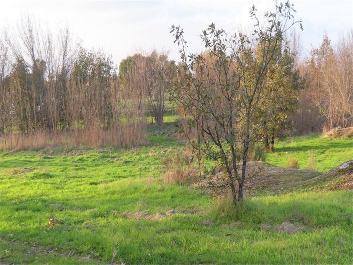 Image No.6-Propriété à vendre à Castelo Branco