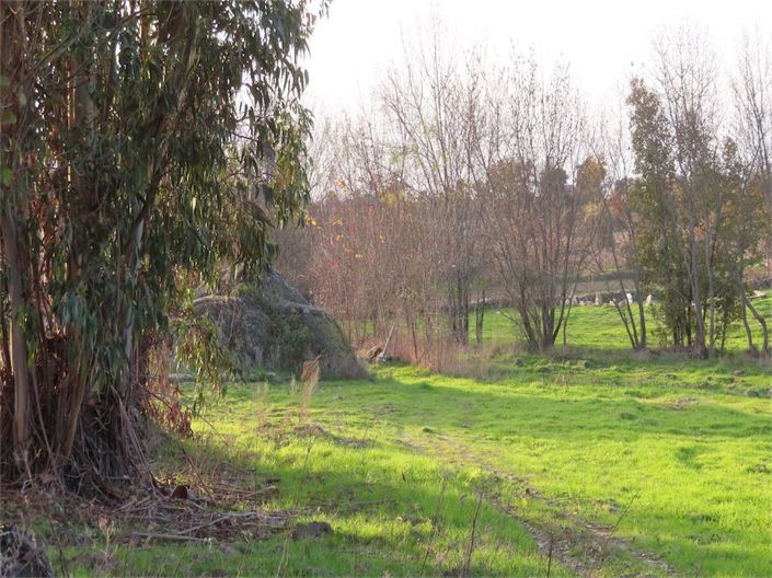 Image No.7-Propriété à vendre à Castelo Branco