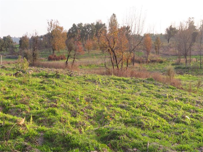 Image No.8-Propriété à vendre à Castelo Branco
