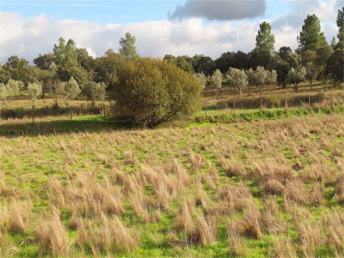 Image No.11-Propriété à vendre à Castelo Branco