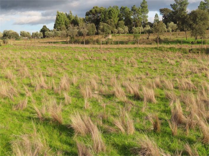 Image No.12-Propriété à vendre à Castelo Branco