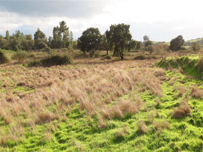 Image No.13-Propriété à vendre à Castelo Branco