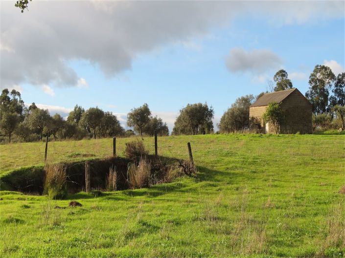 Image No.14-Propriété à vendre à Castelo Branco