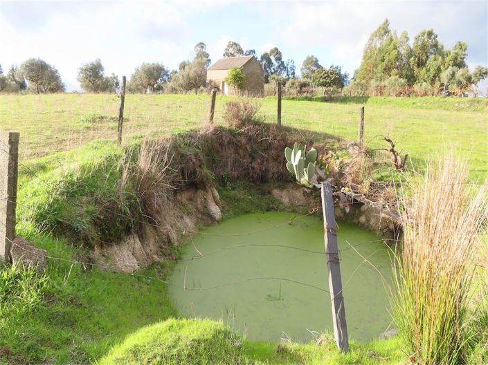 Image No.15-Propriété à vendre à Castelo Branco