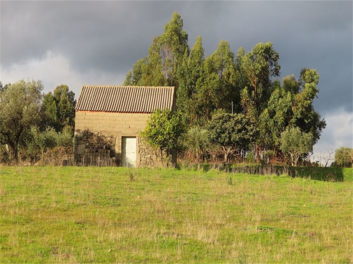 Image No.17-Propriété à vendre à Castelo Branco