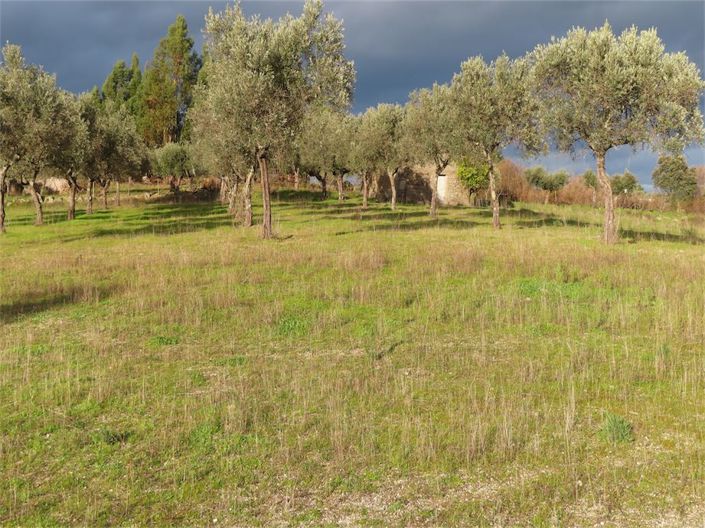 Image No.18-Propriété à vendre à Castelo Branco