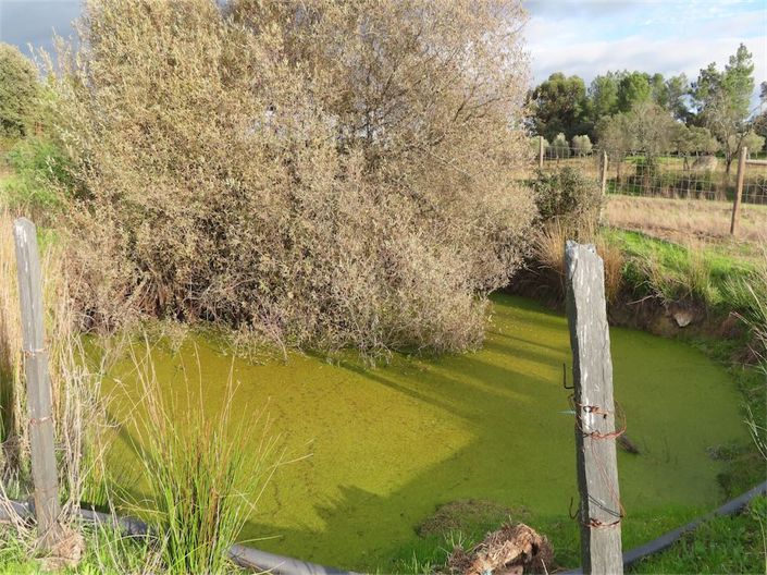 Image No.2-Propriété à vendre à Castelo Branco