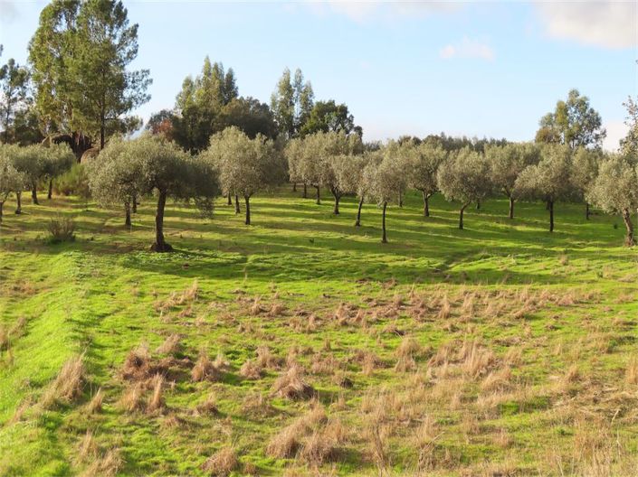 Image No.22-Propriété à vendre à Castelo Branco