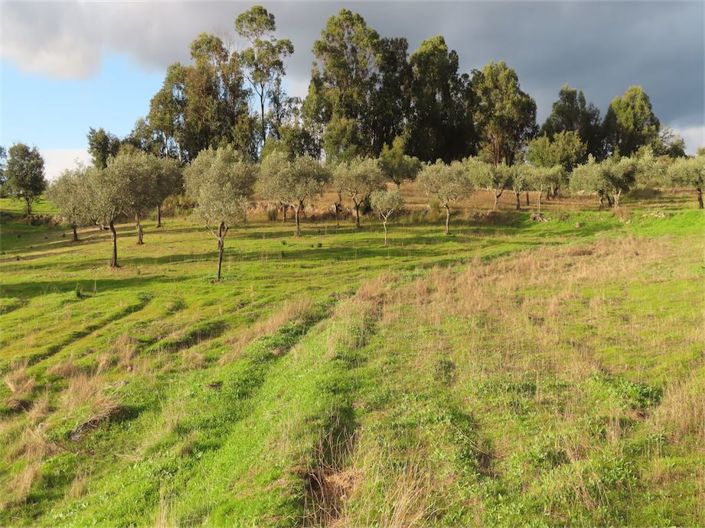 Image No.23-Propriété à vendre à Castelo Branco