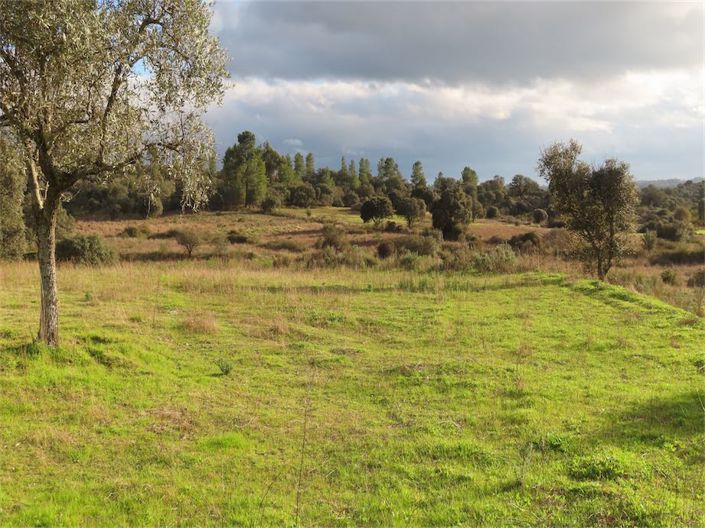 Image No.26-Propriété à vendre à Castelo Branco