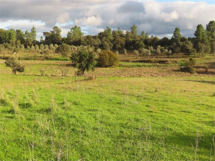 Image No.28-Propriété à vendre à Castelo Branco